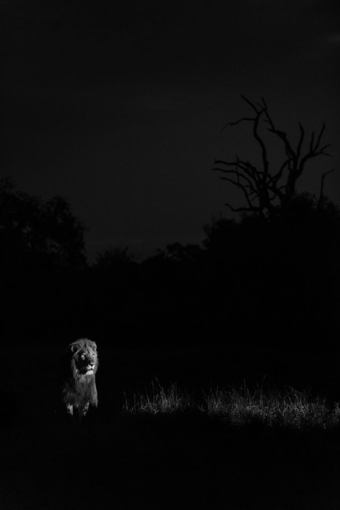 Monochrome Photography Awards 3